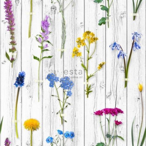 Esta Home Greenhouse 143-158828 Wild Flowers on Wood