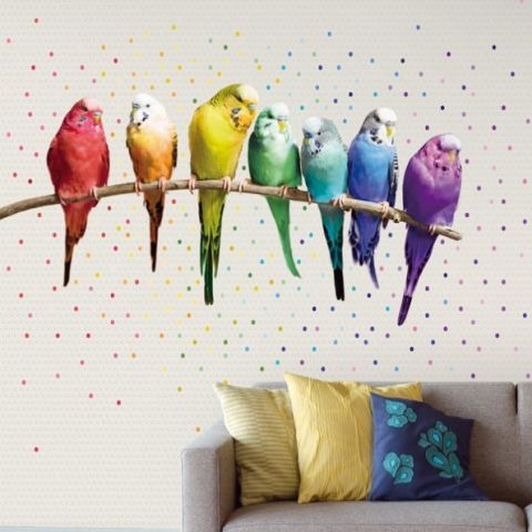 Rainbow Budgies