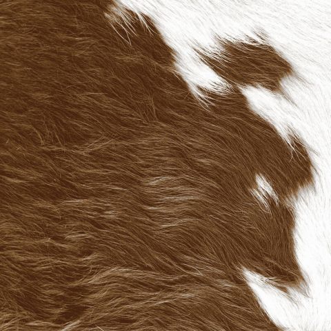 Origin Luxury Skins - Cowhide 357242