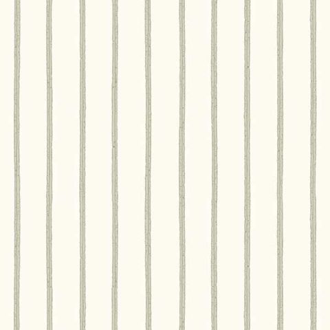 DWD Fiona Stripes@HOME 580439