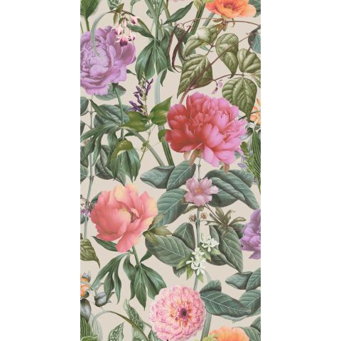 DUTCH WALLCOVERINGS FIRST CLASS - ARBORETUM BOTANICUS CREAM 99427