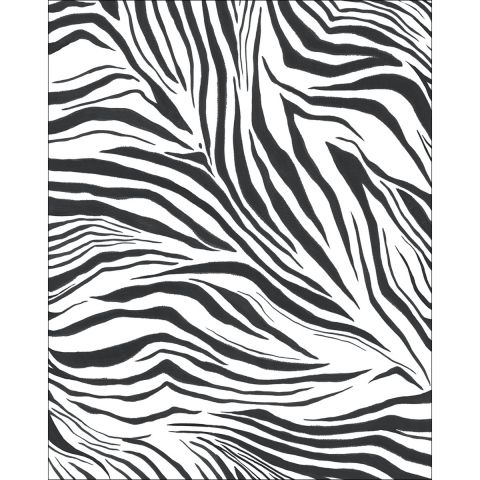 Caselio Stay Wild - ZEBRA BLANC NOIR WILD104960905 - 200x250 